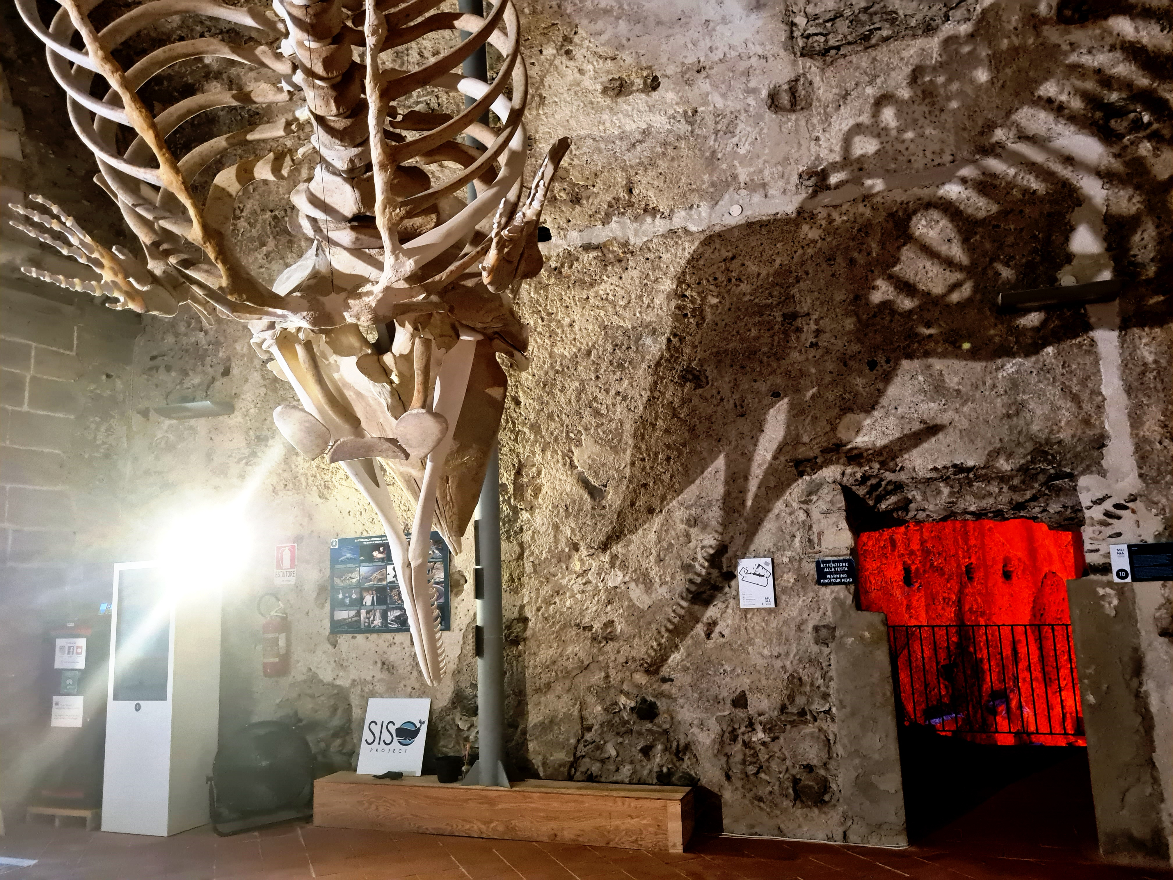 MuMa, il Museo del Mare a Milazzo